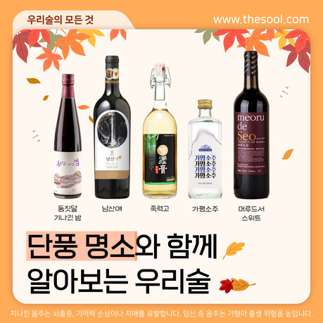 울긋불긋 피어난 가을 단풍, 단풍 명소와 함께하는 지역별 전통주